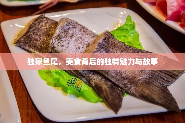 独家鱼尾，美食背后的独特魅力与故事