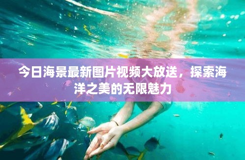 今日海景最新图片视频大放送，探索海洋之美的无限魅力