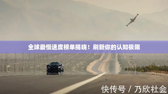 全球最慢速度榜单揭晓！刷新你的认知极限