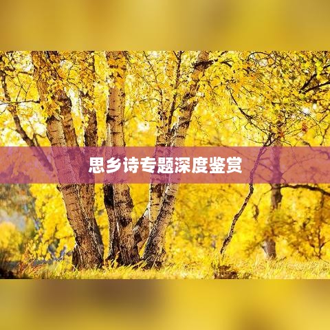 思乡诗专题深度鉴赏