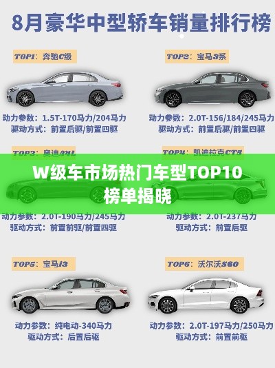 W级车市场热门车型TOP10榜单揭晓