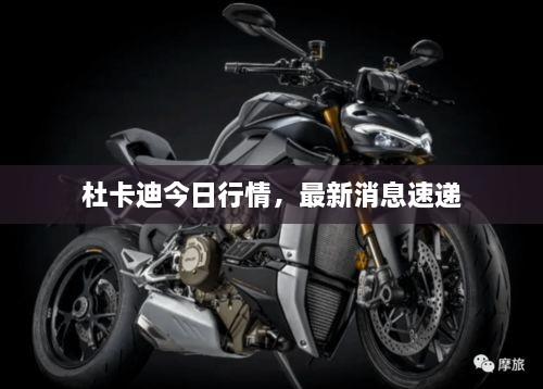 杜卡迪今日行情，最新消息速递