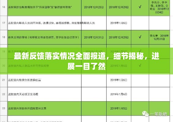 最新反馈落实情况全面报道，细节揭秘，进展一目了然