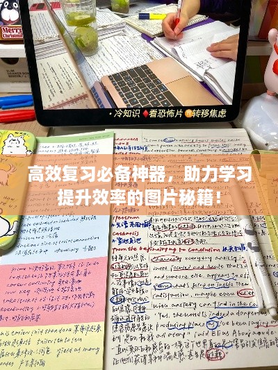 高效复习必备神器，助力学习提升效率的图片秘籍！