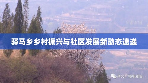 驿马乡乡村振兴与社区发展新动态速递