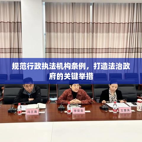 规范行政执法机构条例，打造法治政府的关键举措