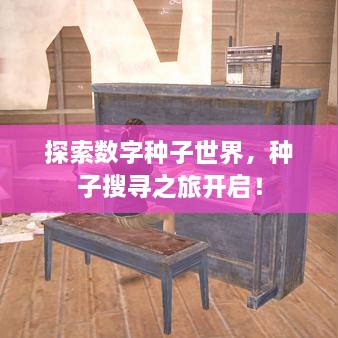 探索数字种子世界，种子搜寻之旅开启！
