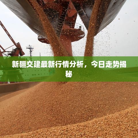 新疆交建最新行情分析，今日走势揭秘
