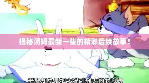 揭秘汤姆最新一集的精彩后续故事！