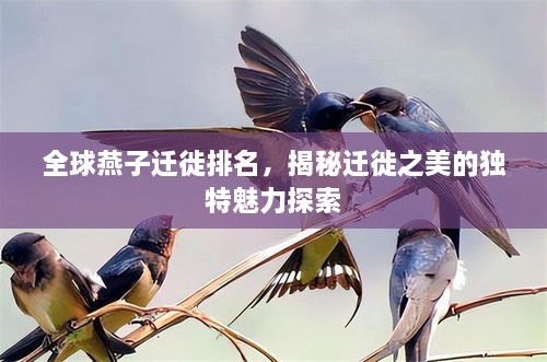 全球燕子迁徙排名，揭秘迁徙之美的独特魅力探索