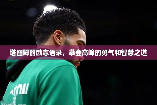 塔图姆的励志语录，攀登高峰的勇气和智慧之道