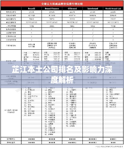 芷江本土公司排名及影响力深度解析