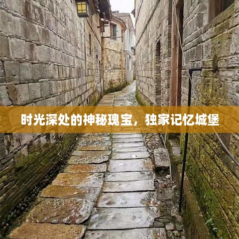 时光深处的神秘瑰宝，独家记忆城堡