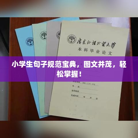 小学生句子规范宝典，图文并茂，轻松掌握！