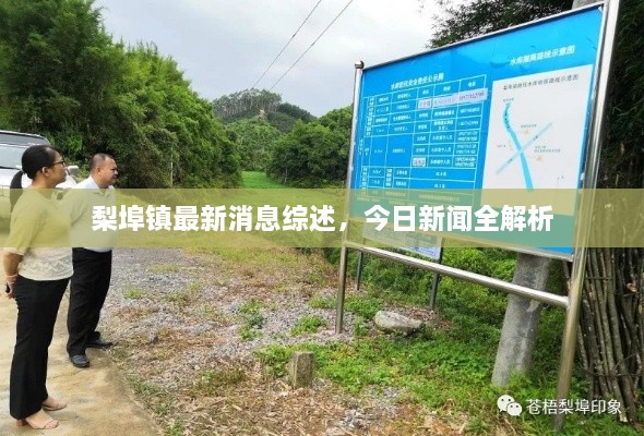梨埠镇最新消息综述，今日新闻全解析