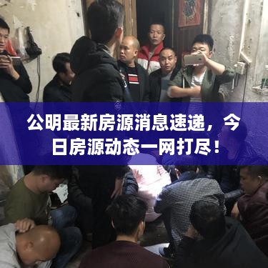公明最新房源消息速递，今日房源动态一网打尽！