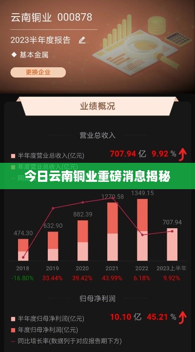今日云南铜业重磅消息揭秘