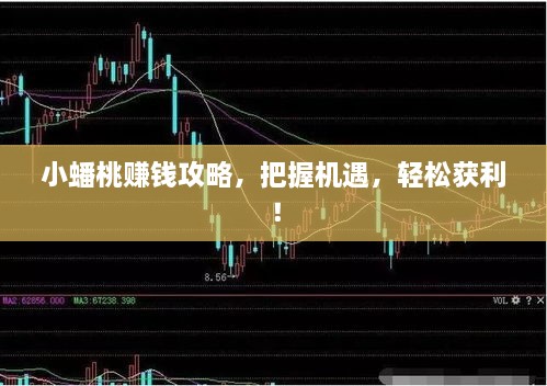小蟠桃赚钱攻略，把握机遇，轻松获利！