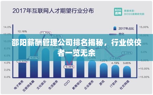 邵阳薪酬管理公司排名揭秘，行业佼佼者一览无余