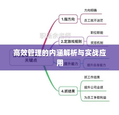 高效管理的内涵解析与实战应用