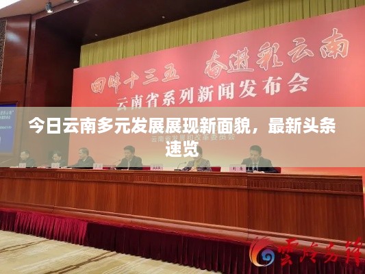 今日云南多元发展展现新面貌，最新头条速览