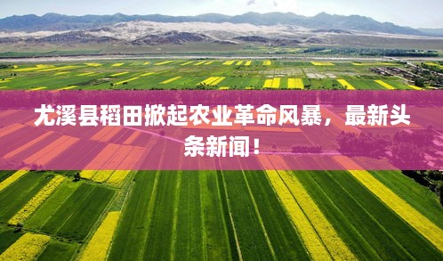 尤溪县稻田掀起农业革命风暴，最新头条新闻！