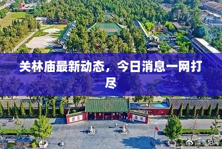 关林庙最新动态，今日消息一网打尽