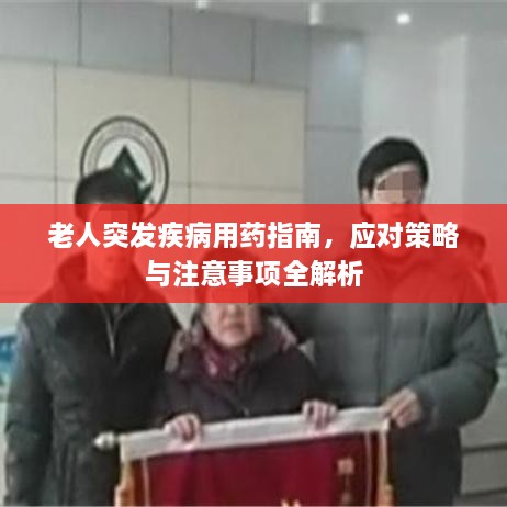 老人突发疾病用药指南，应对策略与注意事项全解析