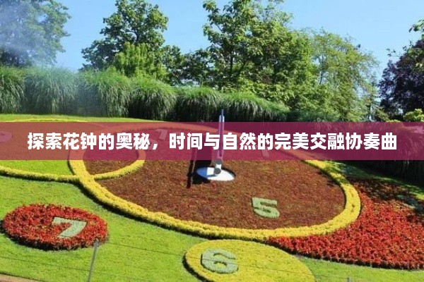 探索花钟的奥秘，时间与自然的完美交融协奏曲