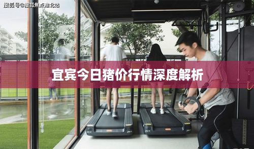 宜宾今日猪价行情深度解析