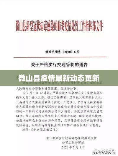 微山县疫情最新动态更新