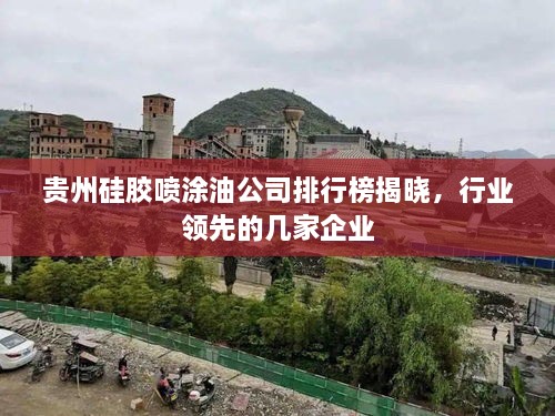 贵州硅胶喷涂油公司排行榜揭晓，行业领先的几家企业