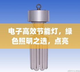 电子高效节能灯，绿色照明之选，点亮未来！