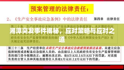 湘潭突发事件揭秘，应对策略与应对之道