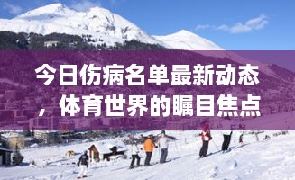 今日伤病名单最新动态，体育世界的瞩目焦点图片呈现