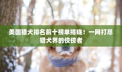 斗志昂扬