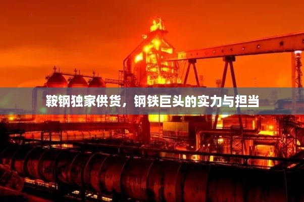 鞍钢独家供货，钢铁巨头的实力与担当