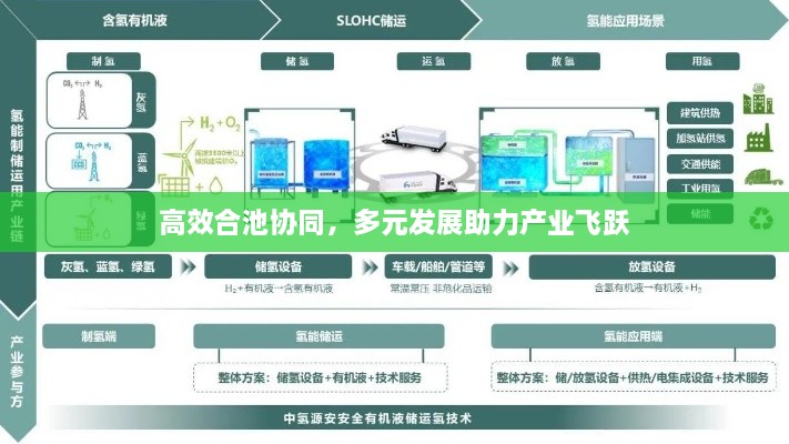 高效合池协同，多元发展助力产业飞跃