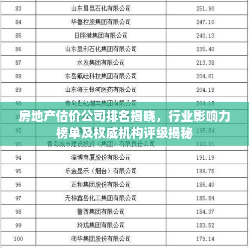 房地产估价公司排名揭晓，行业影响力榜单及权威机构评级揭秘