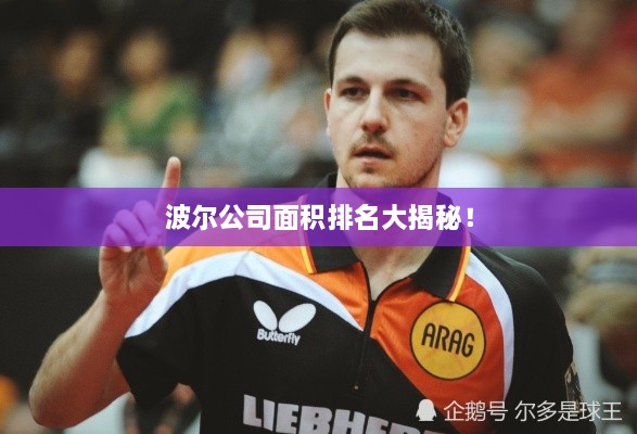 波尔公司面积排名大揭秘！
