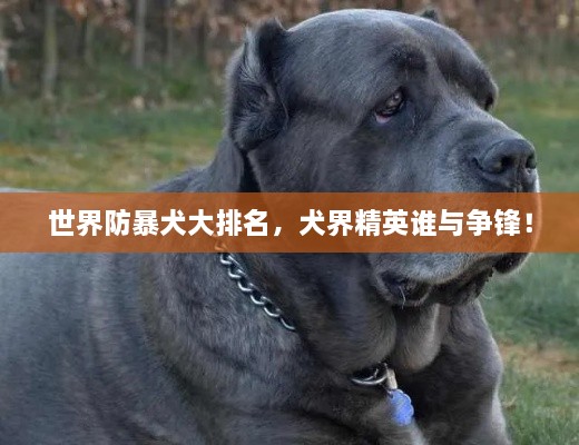 世界防暴犬大排名，犬界精英谁与争锋！