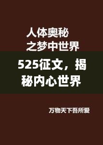 525征文，揭秘内心世界的神秘面纱
