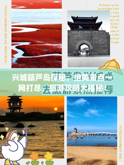 新闻动态 第12页