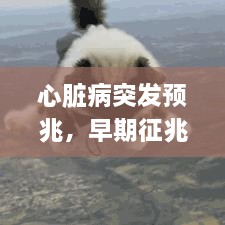 心脏病突发预兆，早期征兆与应对措施