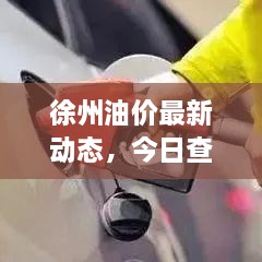 徐州油价最新动态，今日查询表解析，油价走势及生活成本关注热议