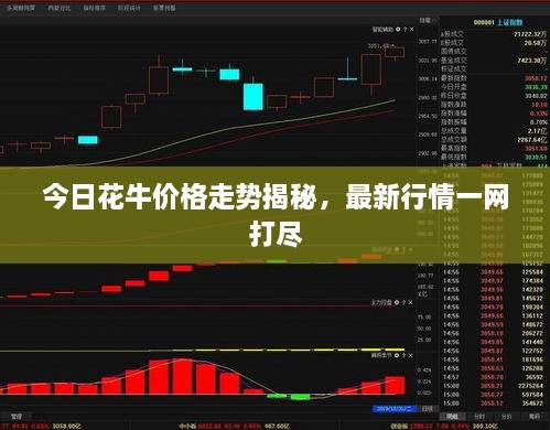 今日花牛价格走势揭秘，最新行情一网打尽
