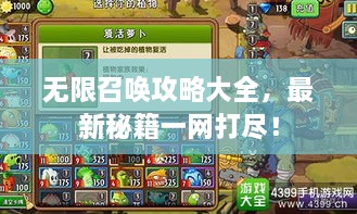 无限召唤攻略大全，最新秘籍一网打尽！