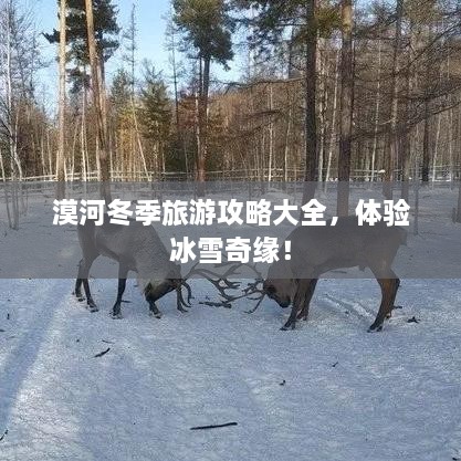漠河冬季旅游攻略大全，体验冰雪奇缘！
