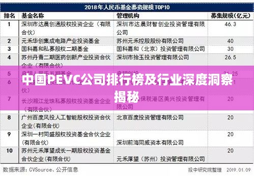 中国PEVC公司排行榜及行业深度洞察揭秘