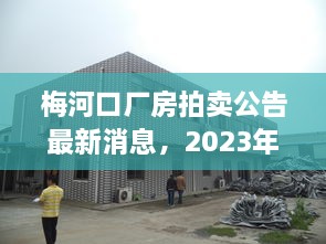 梅河口厂房拍卖公告最新消息，2023年重磅拍卖启动！